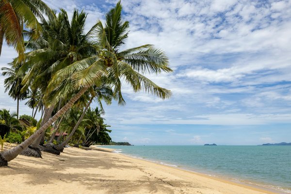 Comment organiser une croisière axée sur la découverte des vins de Bordeaux?