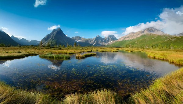 Quels chalets en Norvège offrent des cours de cuisine et des randonnées en montagne?